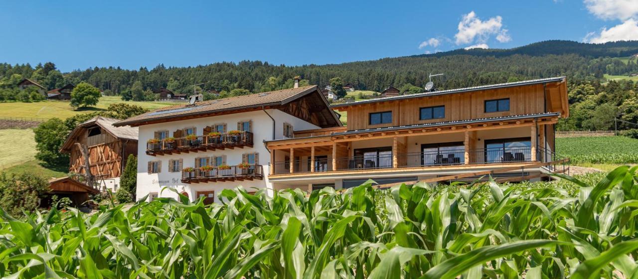 Schweiggerhof -Agriturismo- Farm Holidays Villandro Bagian luar foto