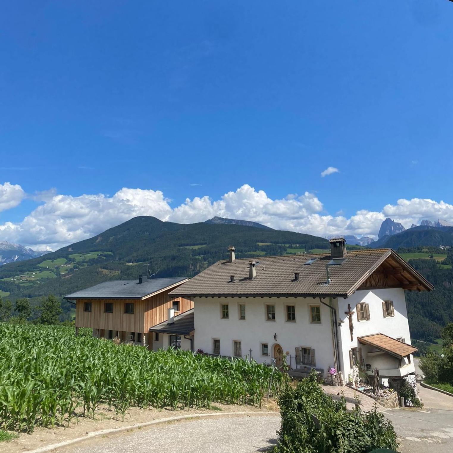 Schweiggerhof -Agriturismo- Farm Holidays Villandro Bagian luar foto